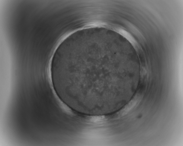 X0000096661055200802121127