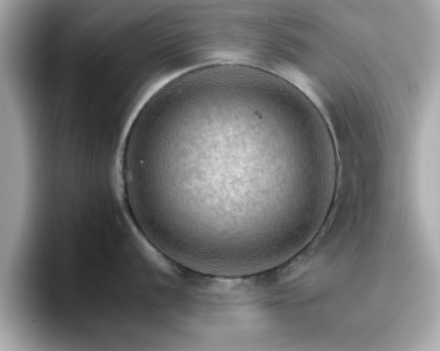 X0000096661056200802121127