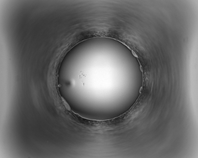 X0000096661057200802121126