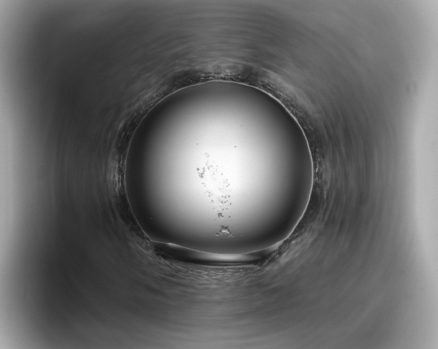 X0000096661058200802121126