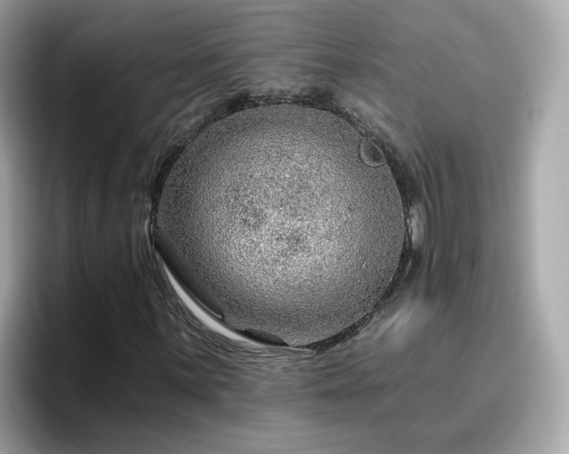 X0000096661059200802121126