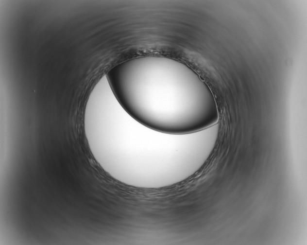 X0000096661060200802121126