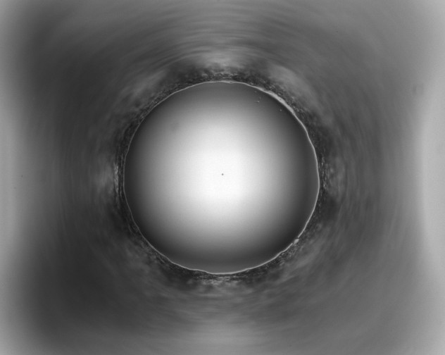 X0000096661061200802121126