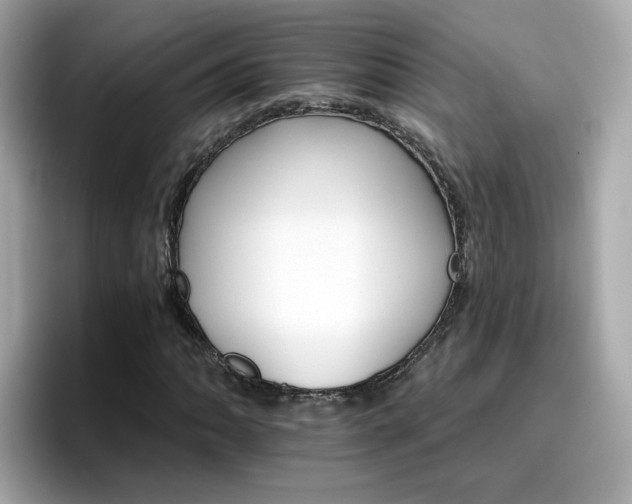 X0000096661062200802121126