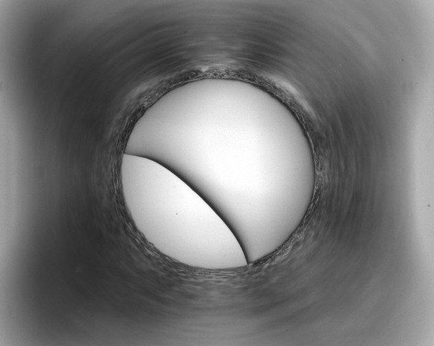 X0000096661063200802121126