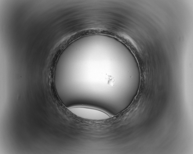 X0000096661064200802121126