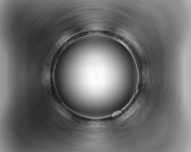 X0000096661065200802121126