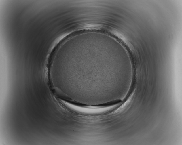 X0000096661066200802121126