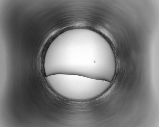 X0000096661067200802121126