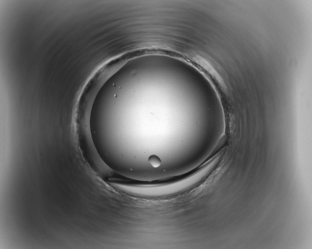 X0000096661068200802121126