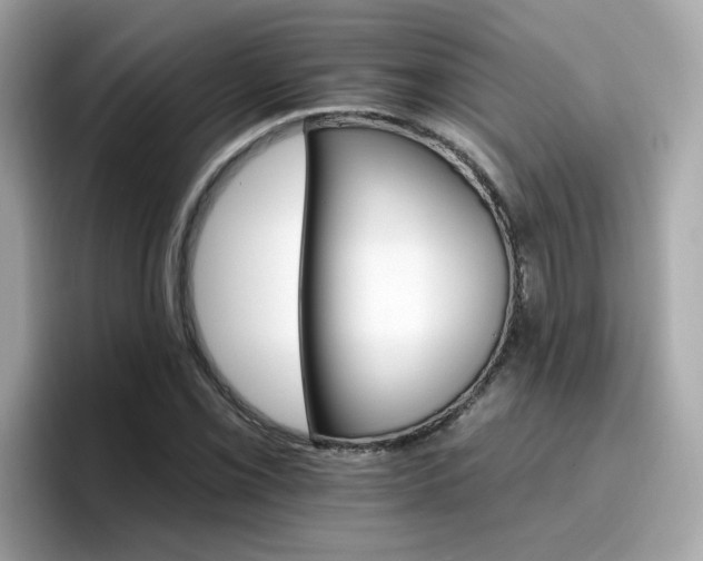 X0000096661069200802121126