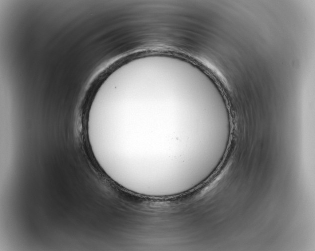 X0000096661070200802121126