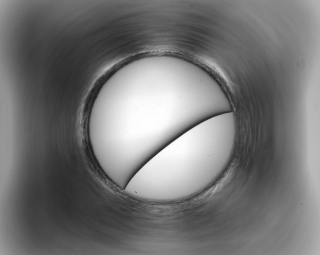 X0000096661071200802121126