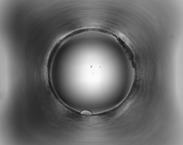 X0000096661072200802121126