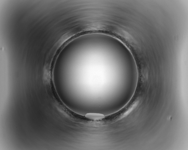 X0000096661073200802121126