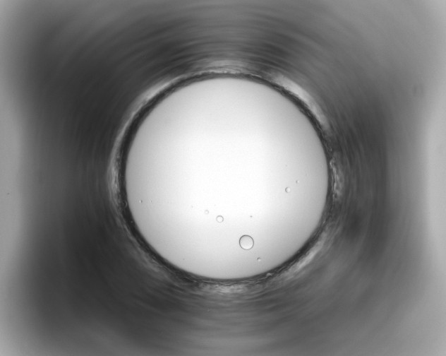 X0000096661074200802121126