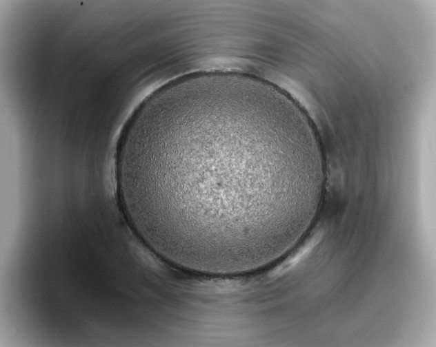 X0000096661075200802121126