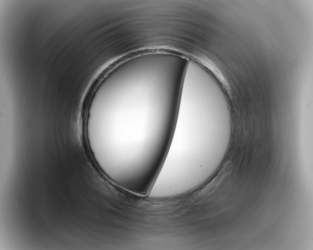 X0000096661076200802121126