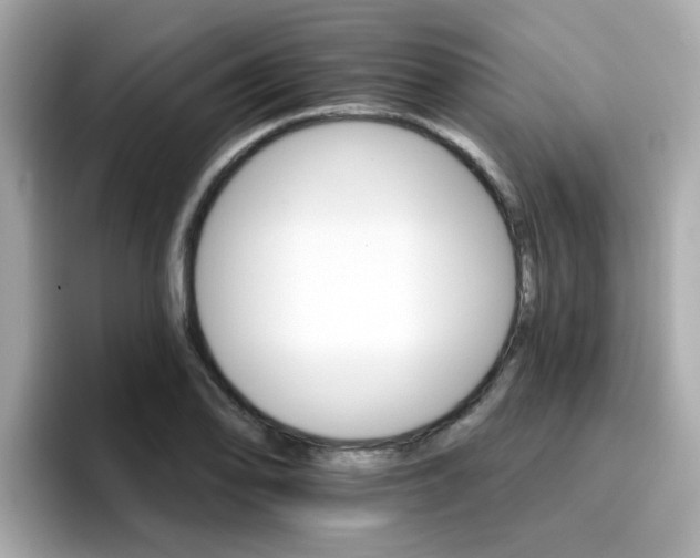 X0000096661078200802121126