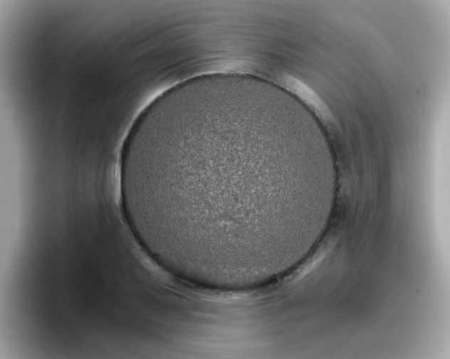 X0000096661079200802121126