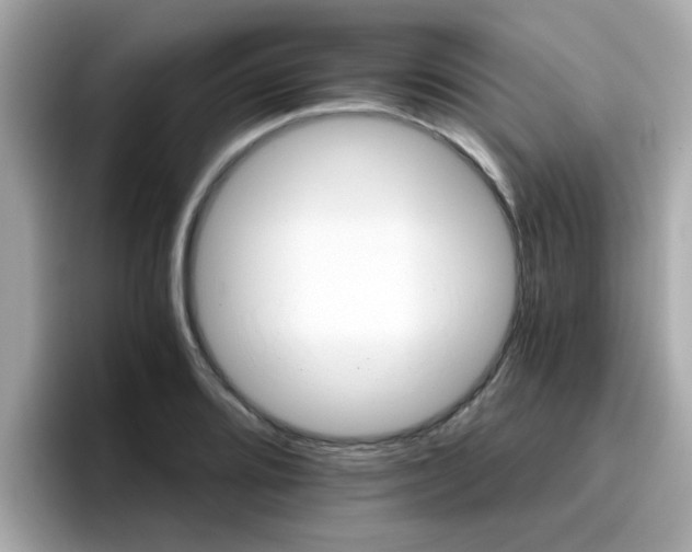 X0000096661080200802121126