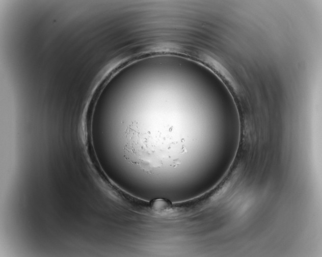 X0000096661082200802121126