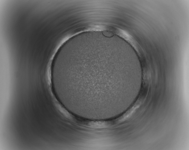 X0000096661083200802121126