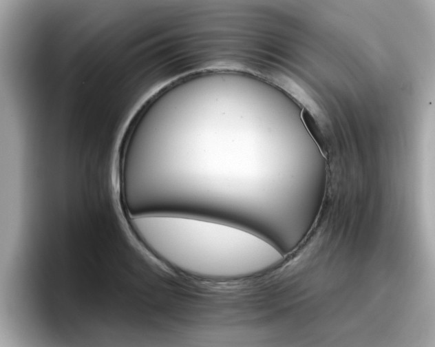 X0000096661084200802121126