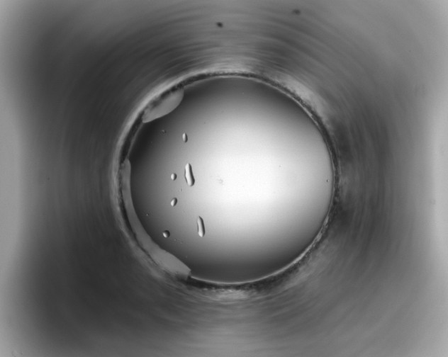 X0000096661085200802121126