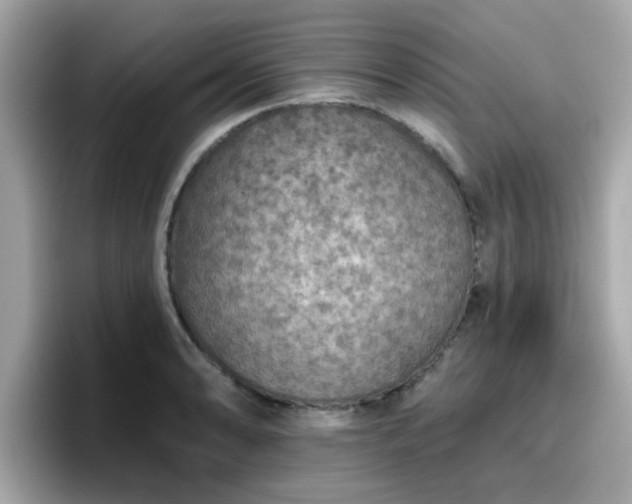 X0000096661086200802121126