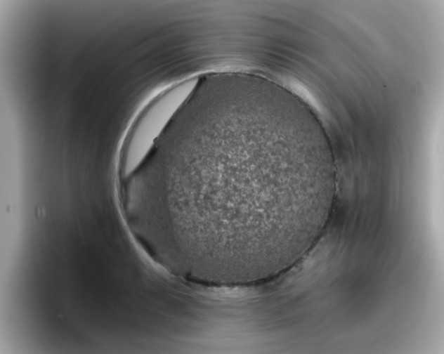 X0000096661087200802121126