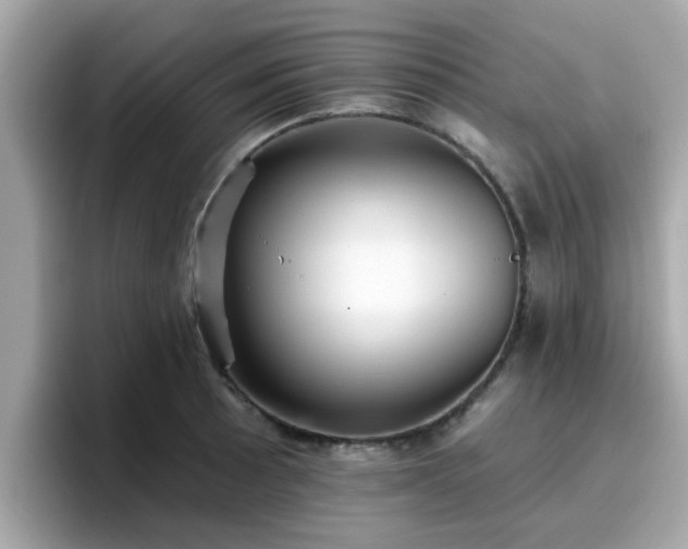 X0000096661089200802121126