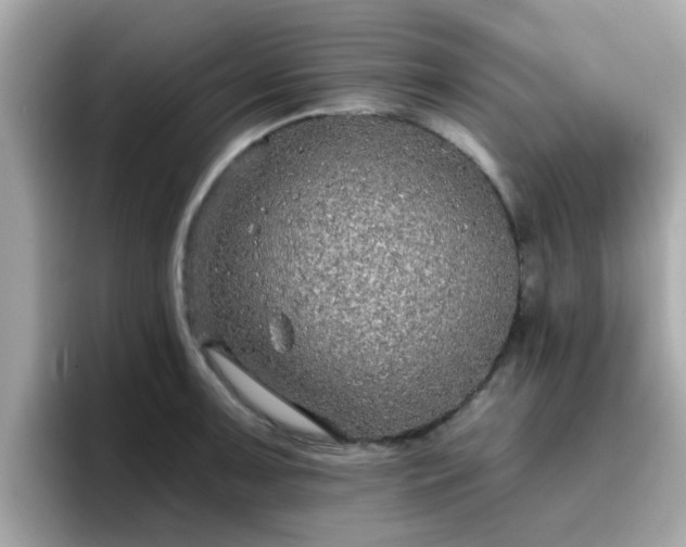 X0000096661091200802121125