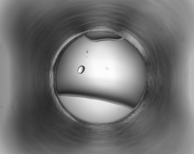 X0000096661092200802121125