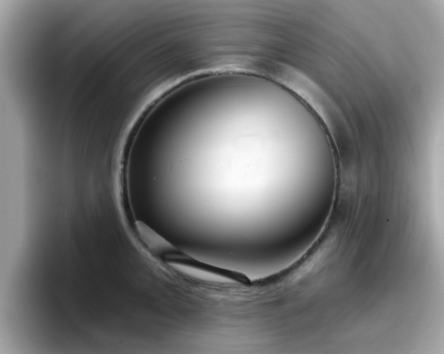 X0000096661093200802121125