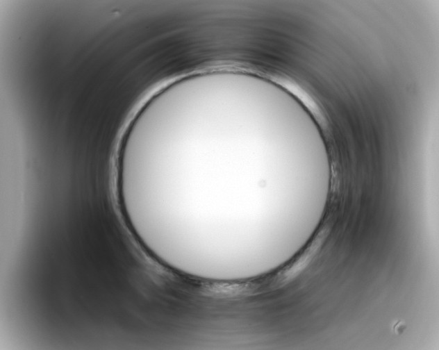 X0000096661094200802121125