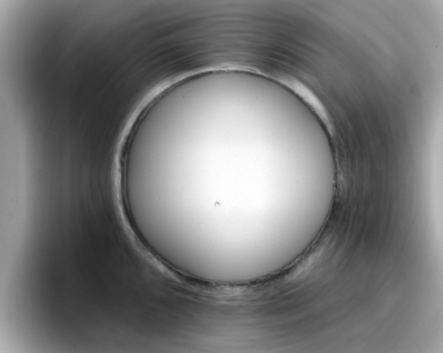 X0000096661096200802121125