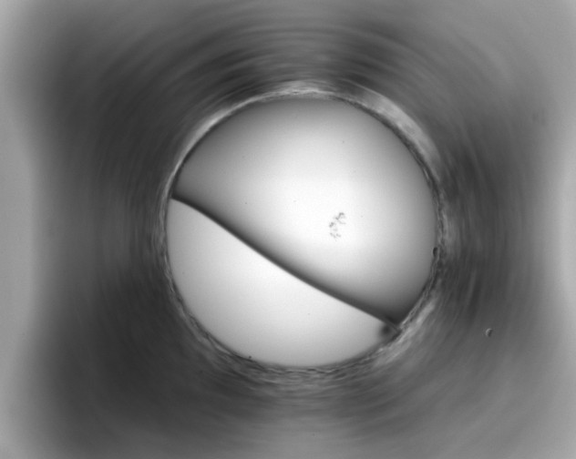 X0000096661097200802121125