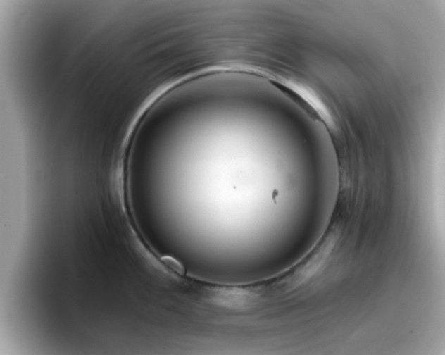 X0000096661100200802121125