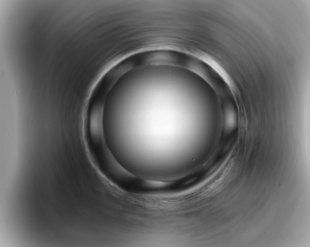 X0000096661101200802121125