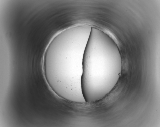 X0000096661103200802121125