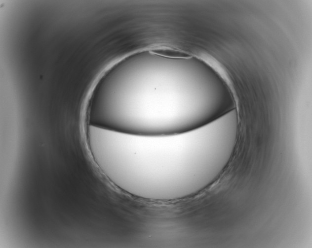 X0000096661104200802121125