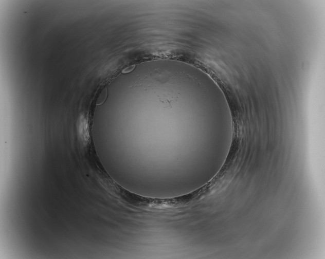 X0000096661106200802121125