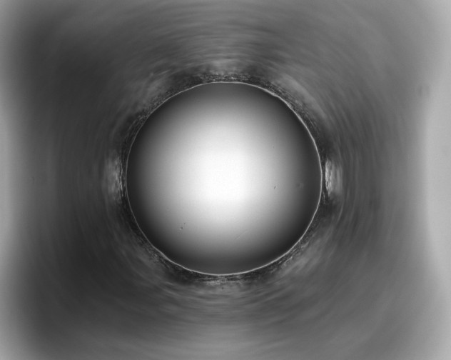 X0000096661107200802121125