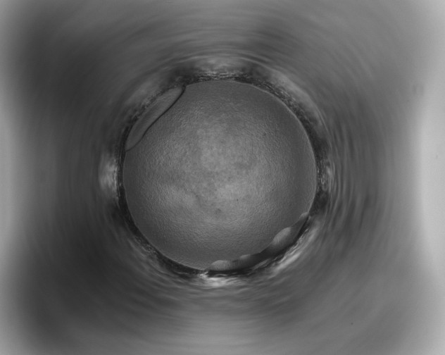 X0000096661108200802121125