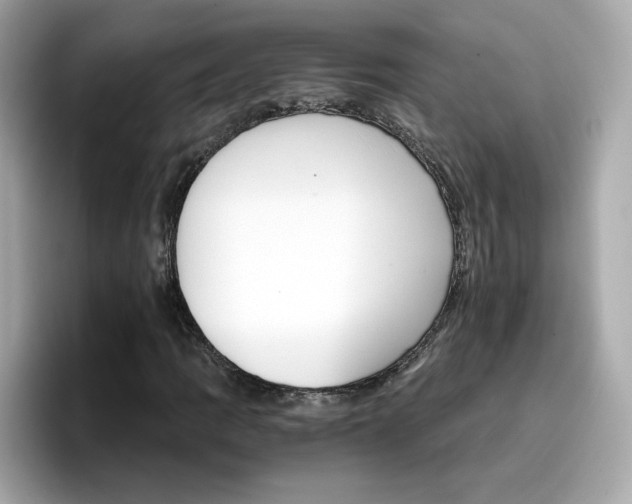 X0000096661109200802121125