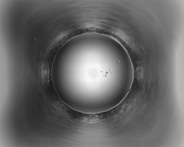 X0000096661111200802121125