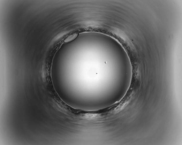 X0000096661112200802121125