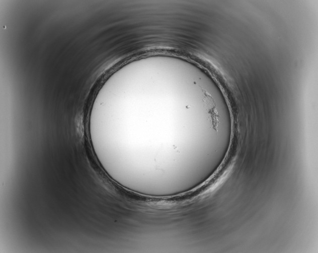 X0000096661113200802121125