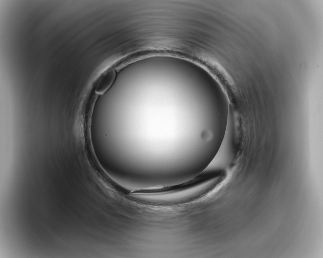 X0000096661114200802121125